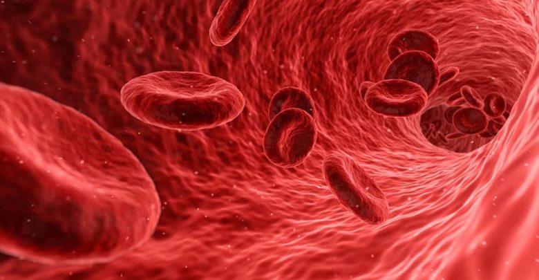 Sangre venosa o arterial