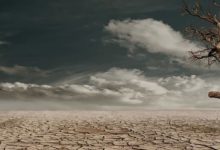¿Cuál es el periodo de vigencia del carbono radioactivo?