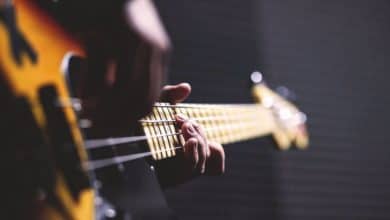 Música y hombre: algo más que sonidos agradables