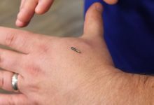 Cómo pagar sin efectivo gracias a un microchip implantado bajo al piel