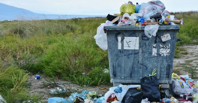 Facebook sabe mucho, los plásticos que no contaminan y la esperanza de vida