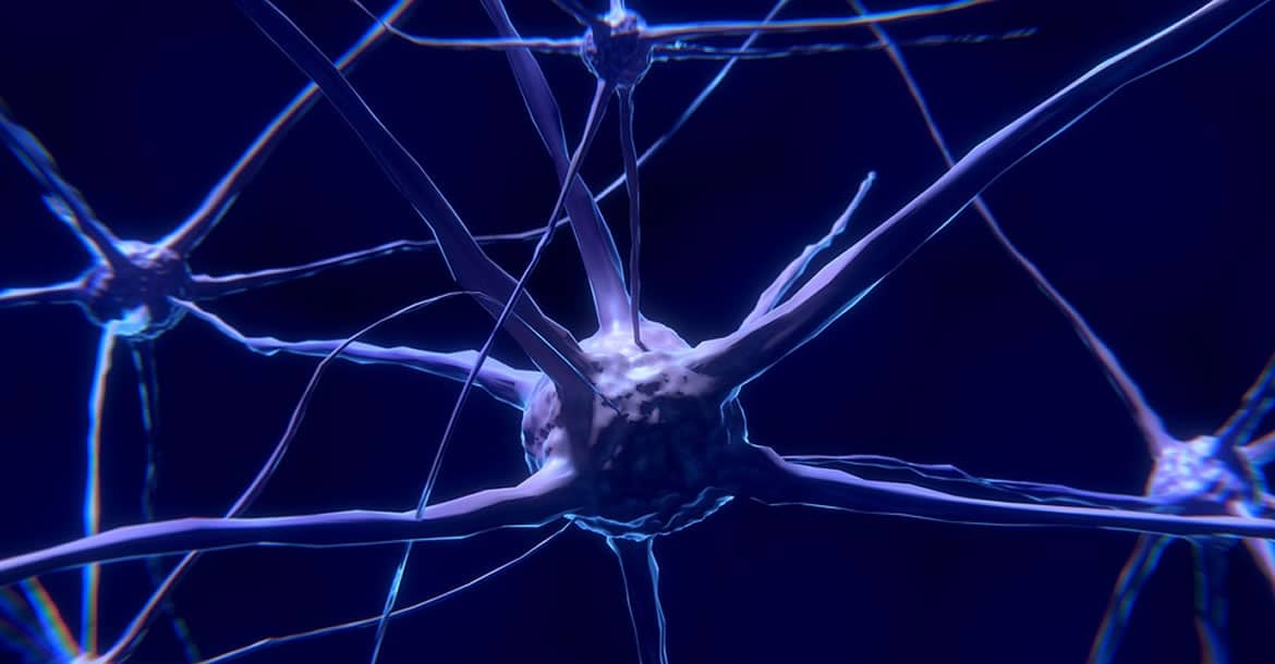 Se ha demostrado que seguimos creando neuronas después de los 87 años