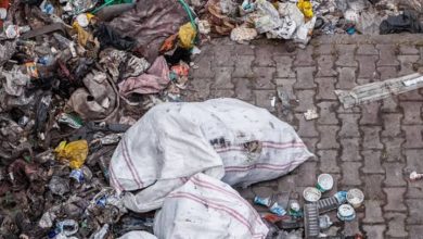 Los plásticos depositados en el mar matan las bacterias que regeneran el oxígeno