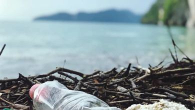 Los microplásticos están dañando el agua potable