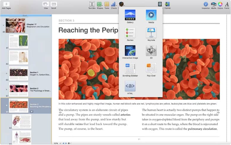 iBooks Author