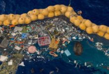 Proyecto para convertir la basura de plásticos en el mar en materiales reciclables