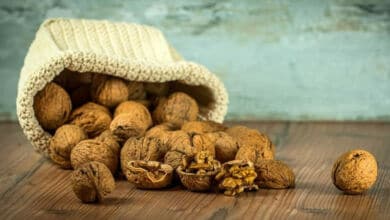 Comer nueces para reducir el nivel de colesterol