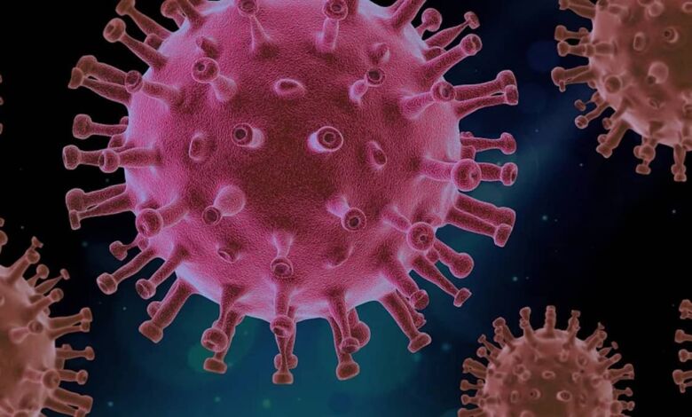 Vacuna para combatir el COVID-19 que proporciona dos tipos de anticuerpos