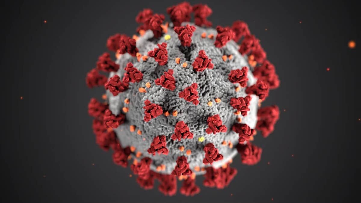 Nanocuerpos para impedir que el coronavirus infecte células humanas
