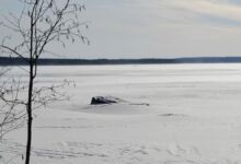 Los planos robados y las pisadas en la nieve