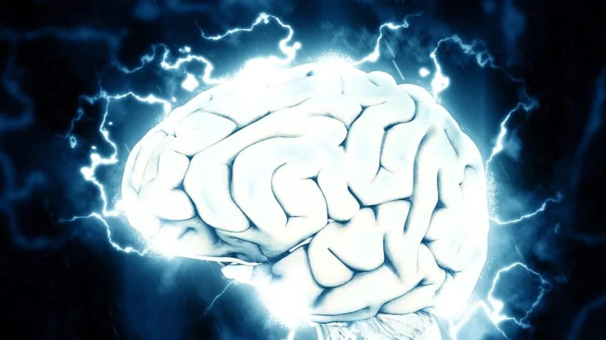 Investigación que consideraba el cerebro como una red similar a Internet