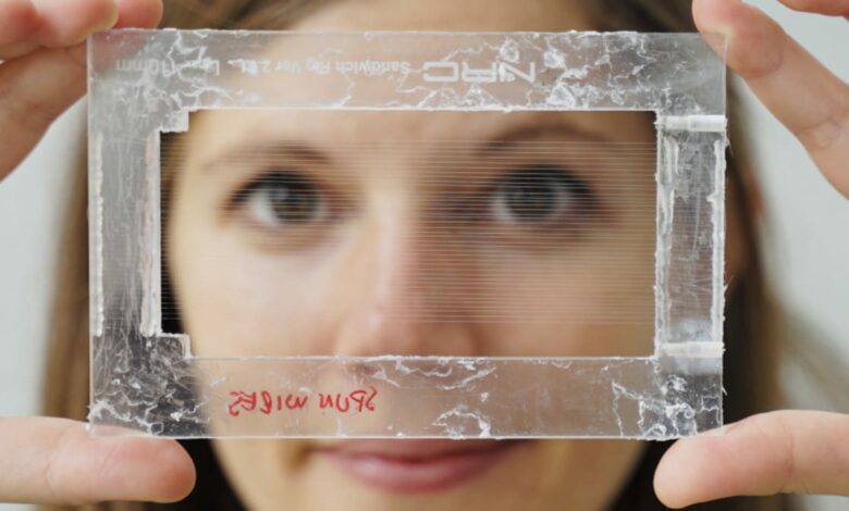 Implantar microelectrodos para aliviar el dolor