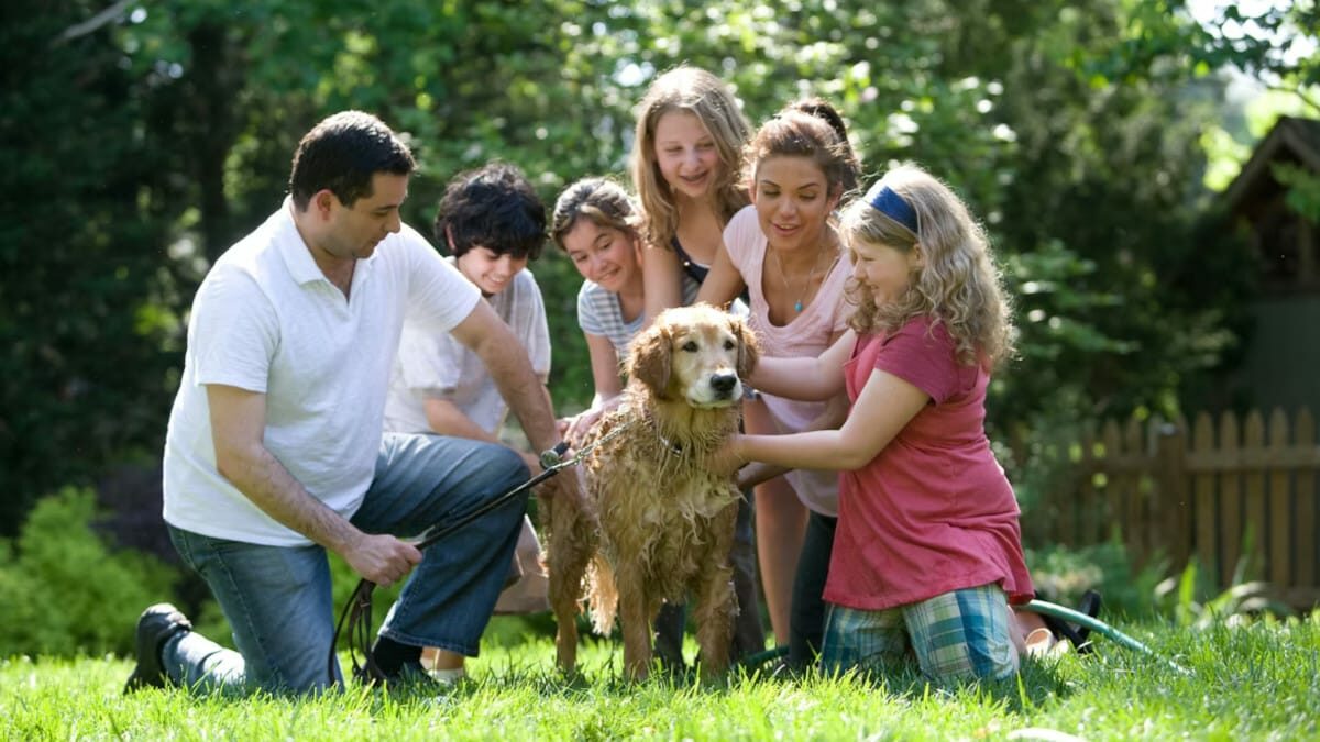 Tips para mejorar la salud de tu familia en el hogar