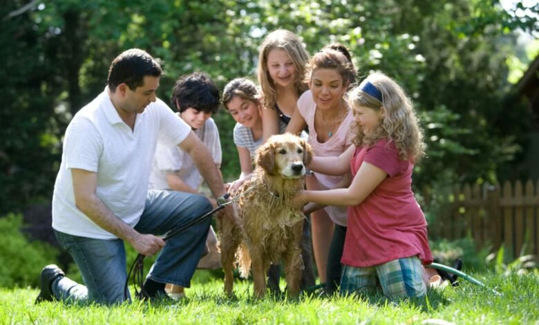 Tips para mejorar la salud de tu familia en el hogar