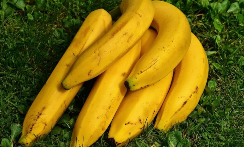 Los beneficios que proporcionan los plátanos en la alimentación