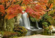 Todo lo que necesitas para conseguir fotos impresionantes