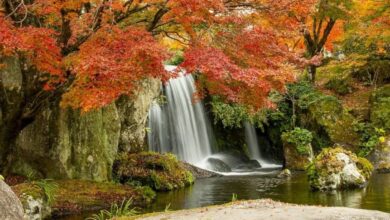 Todo lo que necesitas para conseguir fotos impresionantes