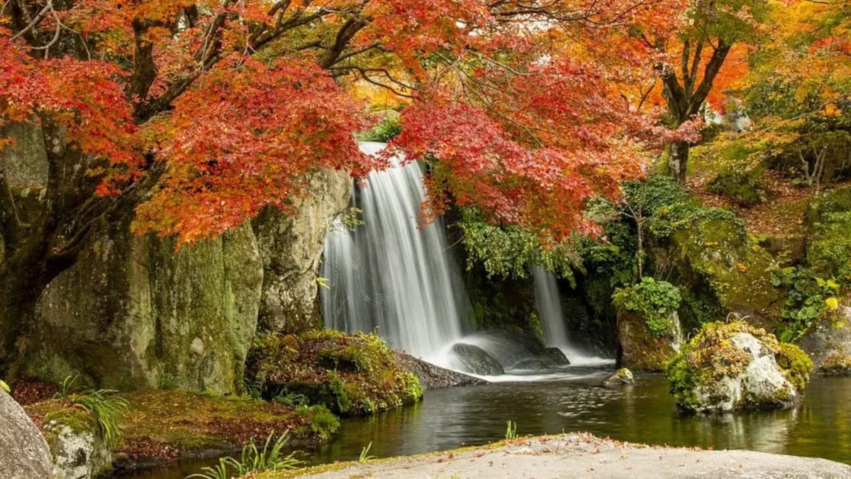 Todo lo que necesitas para conseguir fotos impresionantes 1 Todo lo que necesitas para conseguir fotos impresionantes