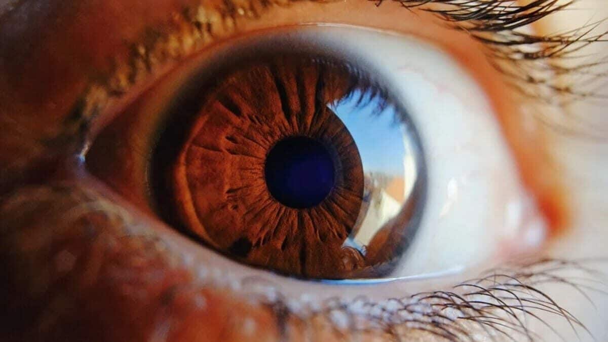 Nuestra edad biológica podrá ser descubierta en los ojos