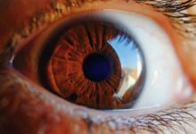Nuestra edad biológica podrá ser descubierta en los ojos