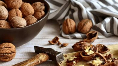 Comer nueces cada día es muy saludable