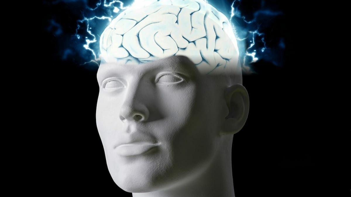 El cerebro separa las experiencias en partes con el fin de facilitar los recuerdos