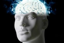 El cerebro separa las experiencias en partes con el fin de facilitar los recuerdos