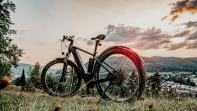 El maravilloso mundo de las bicicletas de montaña