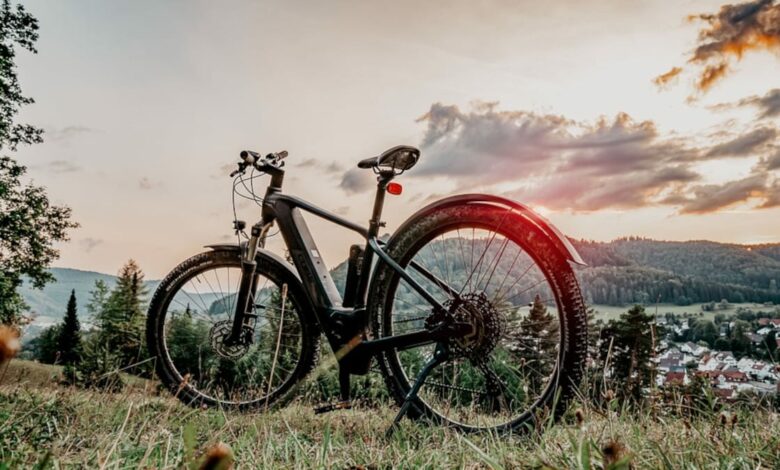 El maravilloso mundo de las bicicletas de montaña