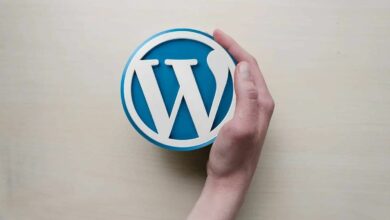 Cómo optimizar la carga de las páginas web en WordPress