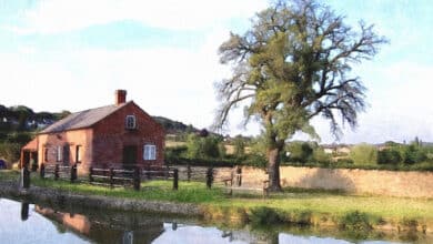 Cómo crear hermosas obras de arte a partir de tus fotos digitales