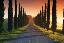 Camino sin retorno