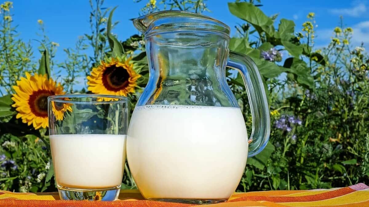 Tomar un vaso de leche al día es bueno para el cerebro