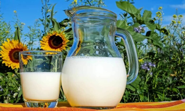 Tomar un vaso de leche al día es bueno para el cerebro