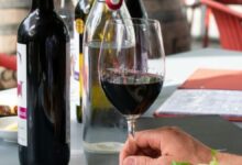 ¿Qué botella de vino debes elegir?