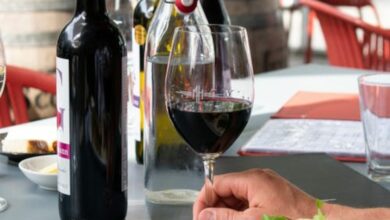 ¿Qué botella de vino debes elegir?