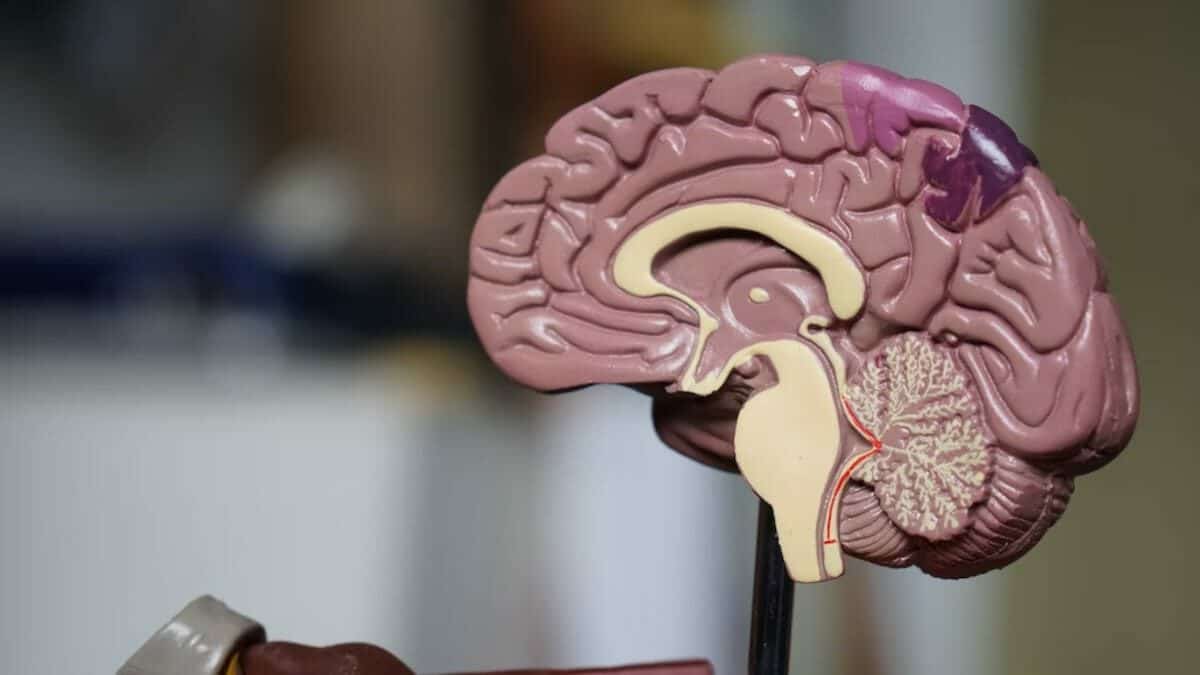Utilizar la Inteligencia Artificial para detectar Alzheimer de manera temprana