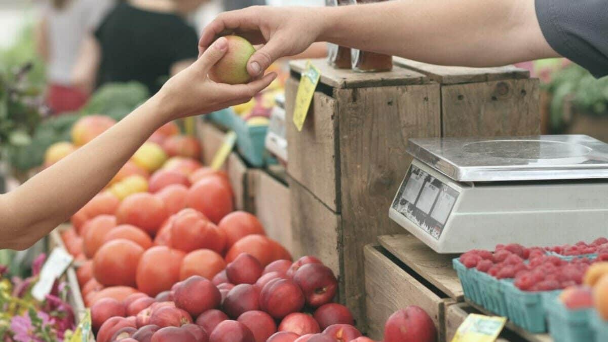 Consejos sobre las bolsas reutilizables para llevar a la compra y evitar el plástico