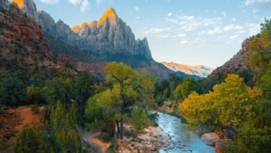 Según recientes estudios la naturaleza actúa como antidepresivo