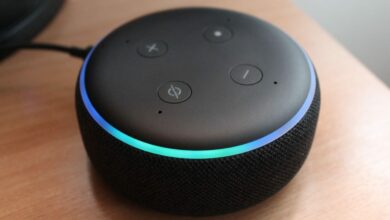 ¿Qué pueden hacer las bocinas Alexa?