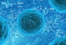 El hombre y la Biología