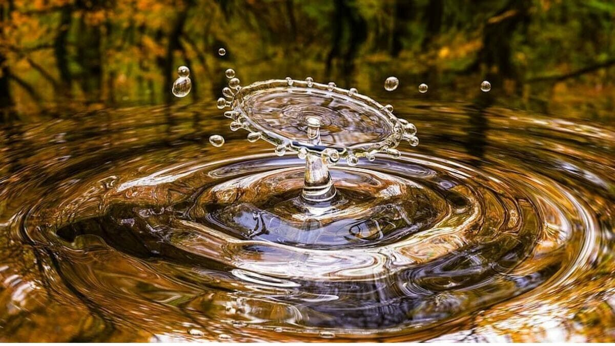 No hay vida sin agua