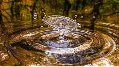 No hay vida sin agua