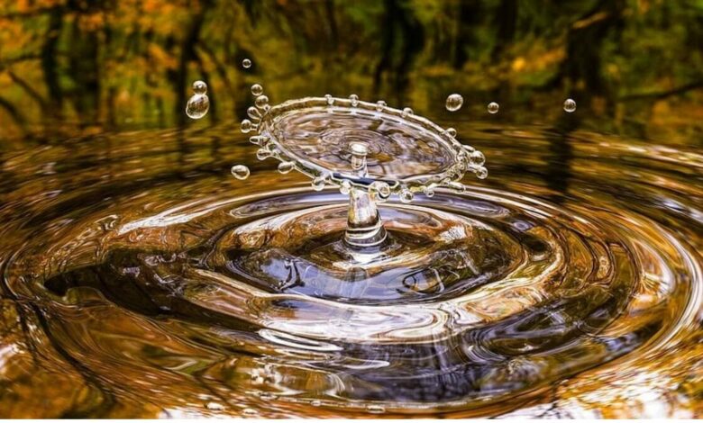 No hay vida sin agua