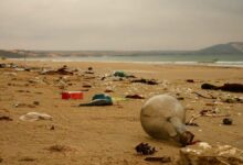 Las grandes cantidades de basura y el séptimo continente