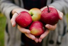 Comer una manzana cada día es bueno para evitar la fragilidad