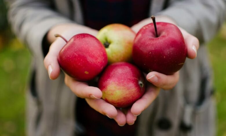 Comer una manzana cada día es bueno para evitar la fragilidad