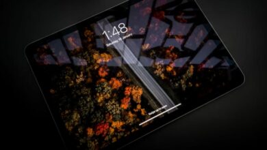 ¿Qué es lo que caracteriza al iPad Pro?