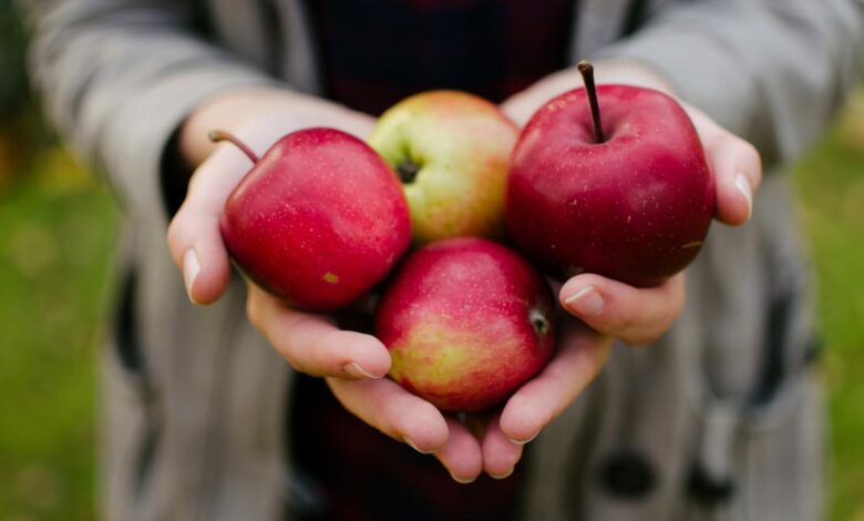 El precio de las manzanas en el mercadillo