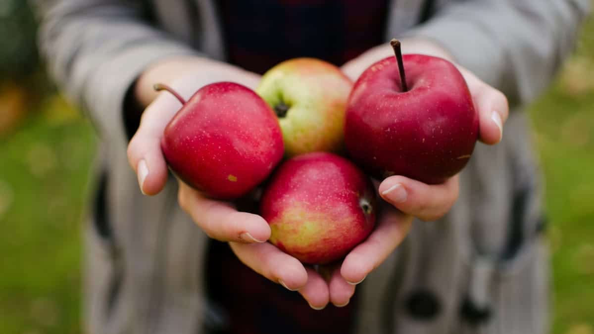 El precio de las manzanas en el mercadillo